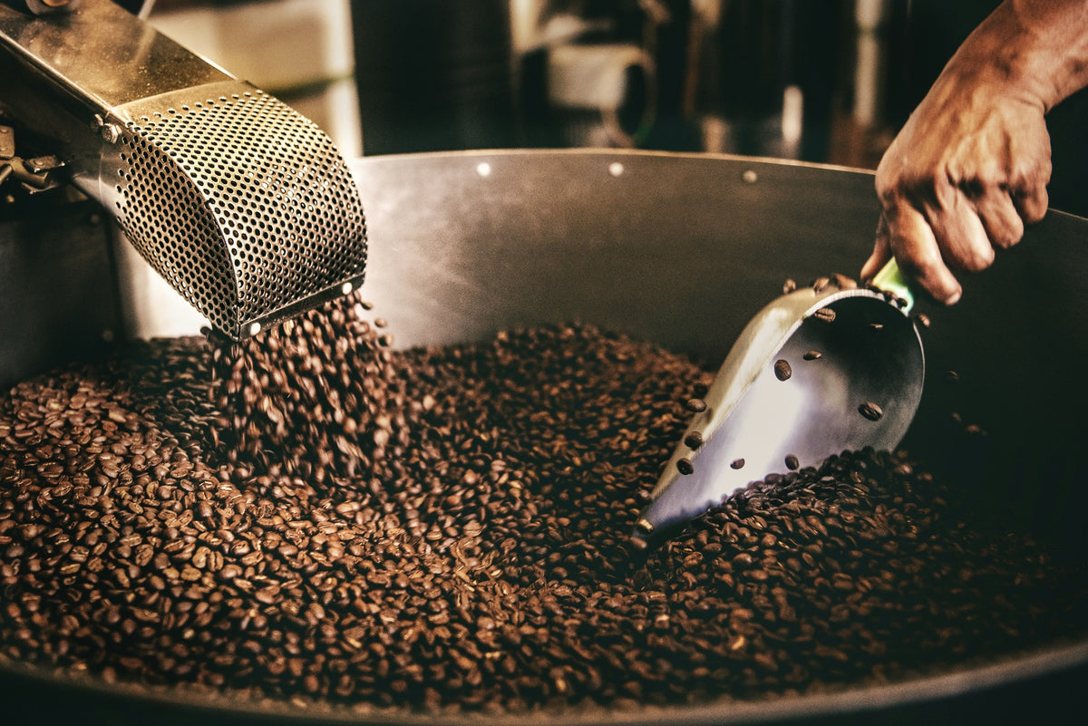 Freshly roasted coffee beans pouring into the cooling tray of a roaster